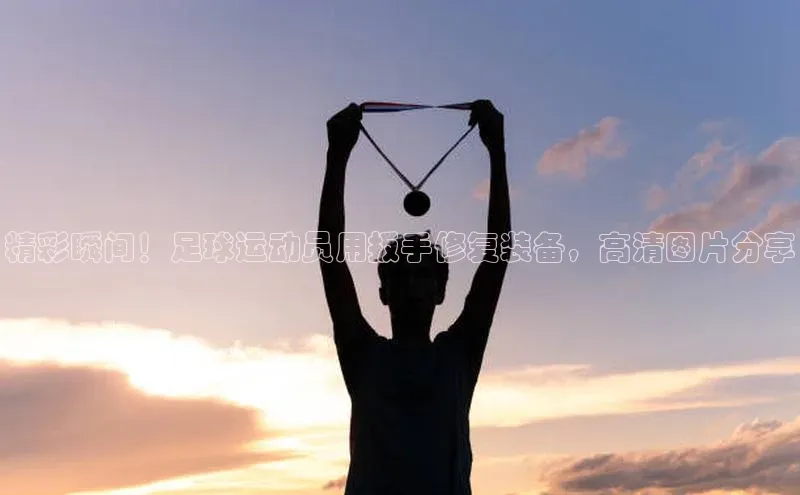 意昂2账号登录入口顺丰