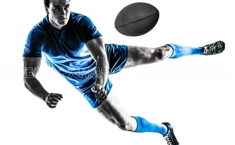 意昂2体育雷柏科技