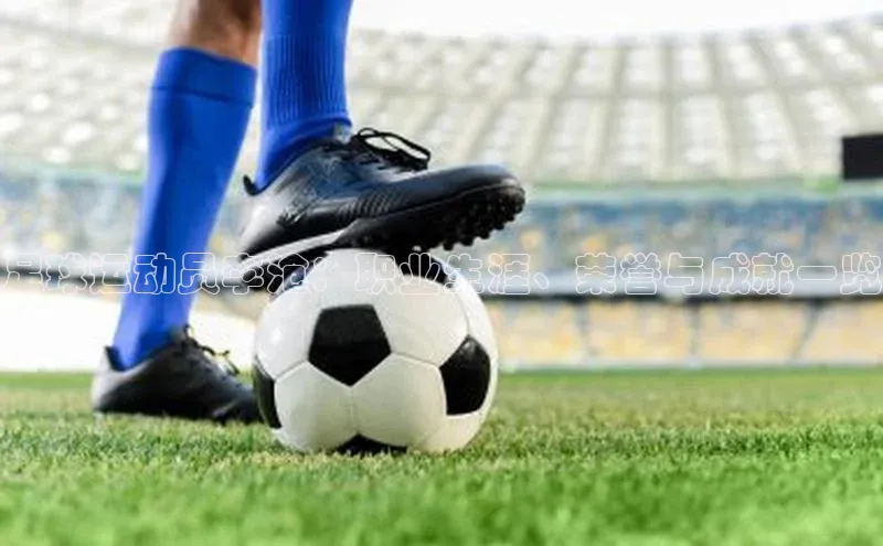 意昂2登录入口路畅科技