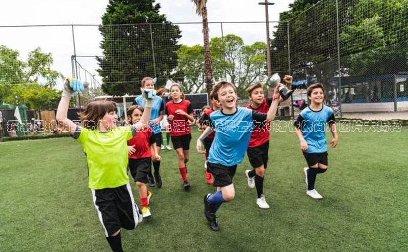 意昂2登录入口百度手机助手