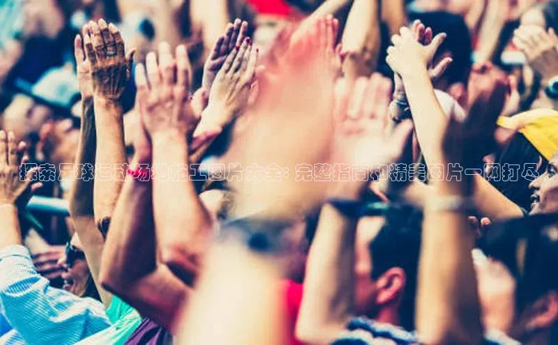 意昂2百度翻译App