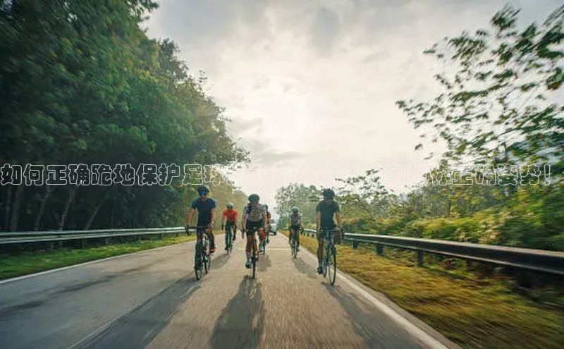 意昂2登录入口百度手机助手