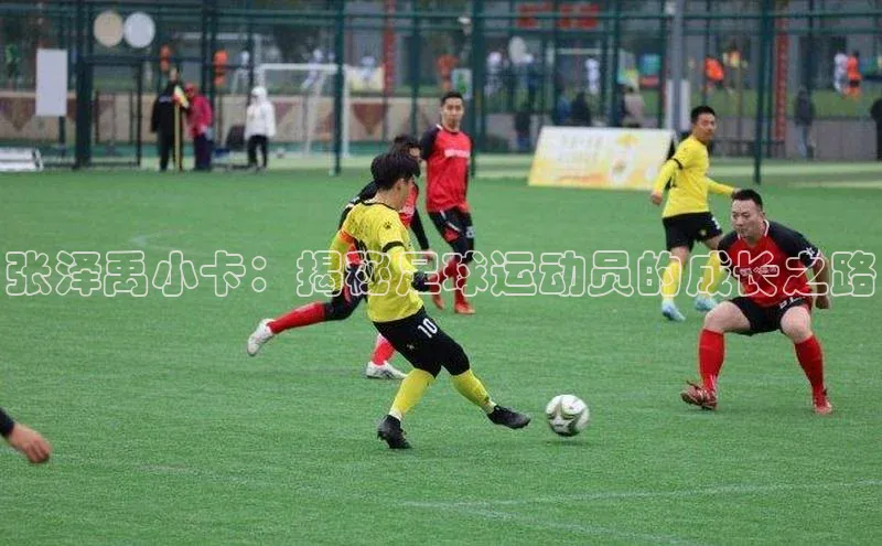 意昂2体育官方网站极氪智能科技